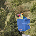 What Equipment Do Texas Arborists Use to Trim Trees Safely?