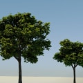 How Much Does it Cost to Get an Arborist Tree Inspection?