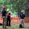 What Certifications Do Texas Arborists Need to Work on Trees?