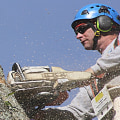 How to Assess the Health of a Tree: An Arborist's Guide