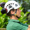 Becoming a Certified Texas Arborist: What Training is Required?