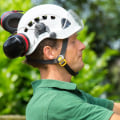 How Long Does it Take for a Professional Arborist to Complete a Job in Texas?