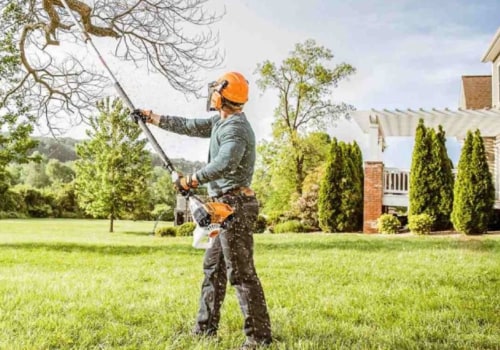 How Much Experience Does a Certified Texas Arborist Have in Tree Care and Maintenance?