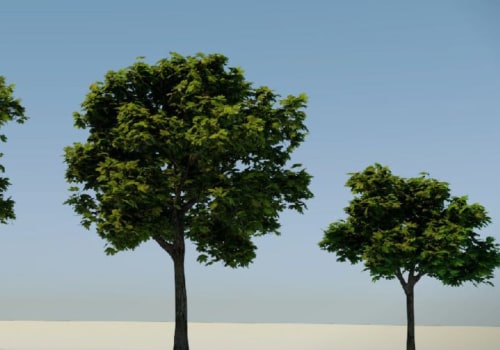 How Much Does it Cost to Get an Arborist Tree Inspection?