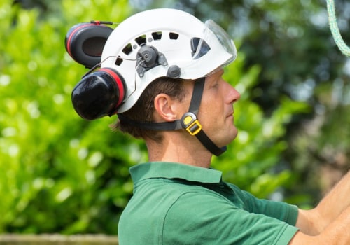 The Thrill of Being an Arborist: An Expert's Perspective