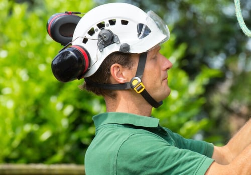 Becoming a Certified Texas Arborist: What Training is Required?